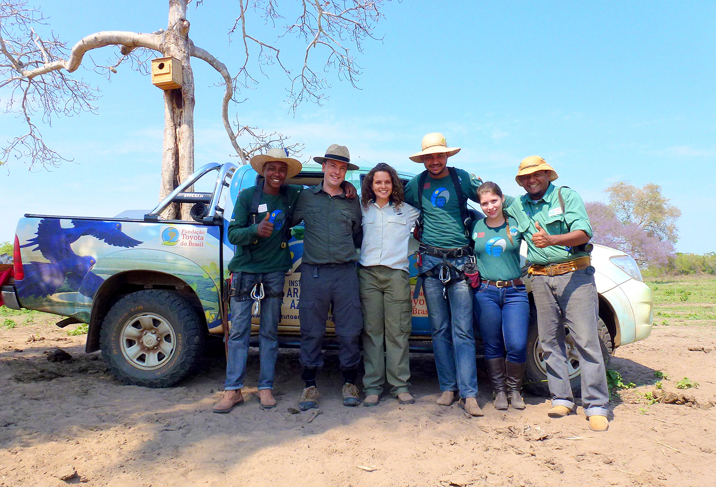 BRA_Caiman_HyacinthMacawTeam_SW_free