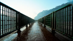 BRA_Iguazu Falls_WalkwaysAtIguazu_TP_Free (1)