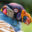 BRA_KingVulture_shutterstock_193658579_free