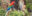 BRA_Pantanal_Scarlet_Macaw_free_shutterstock_343875146