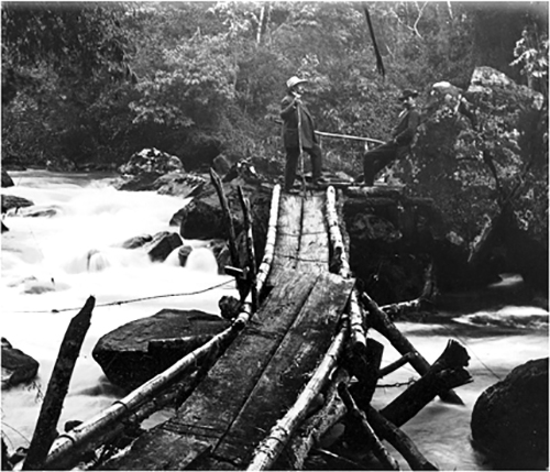 Iguaz 1982WalkwaysAtIguazuOffWebsite