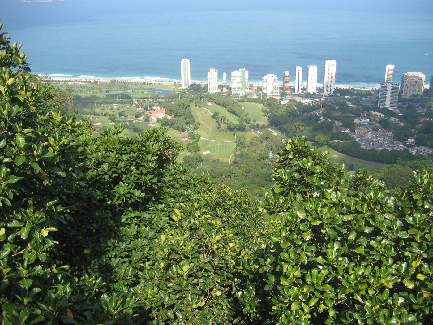 Sao Conrado from Tijuca forest
