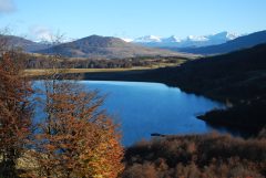 CHI_Driving Aysen_SCB_Free (2)