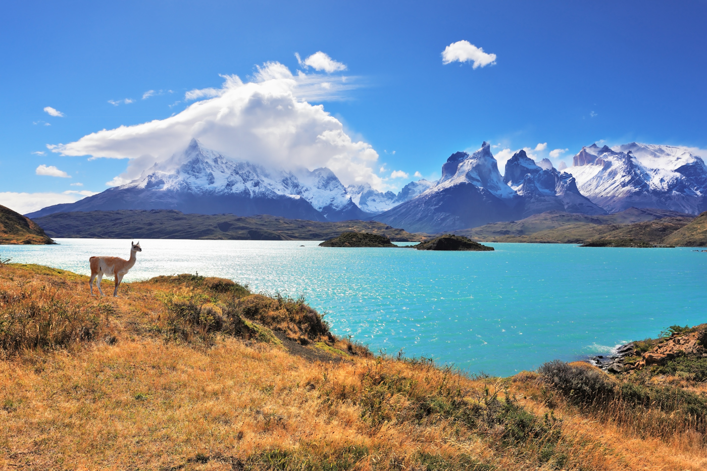 CHI_TorresDelPaine_shutterstock145939673_freewithcredit(2) Torres del Paine