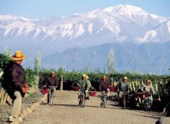 Dia de los Trabajadores