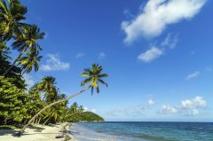 Beautiful Deserted Beach