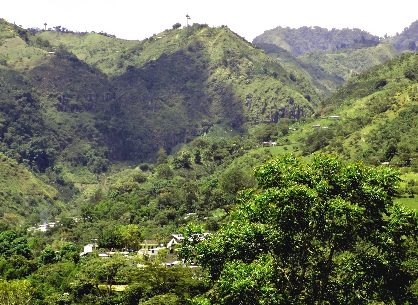 COL_Tierradentro_CJ_free-1