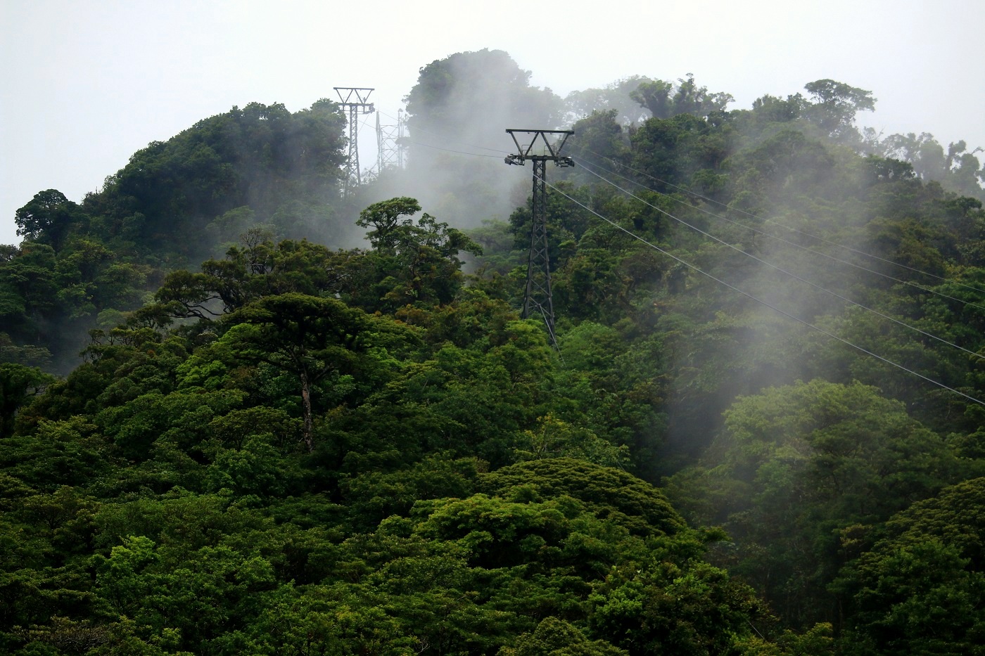 COS_Monteverde_SkyTrek_SkyAdventures_free(1)