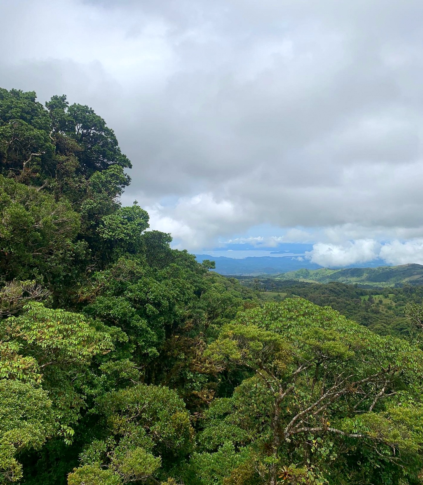 COS_Monteverde_SkyTrek_SkyAdventures_free(2)