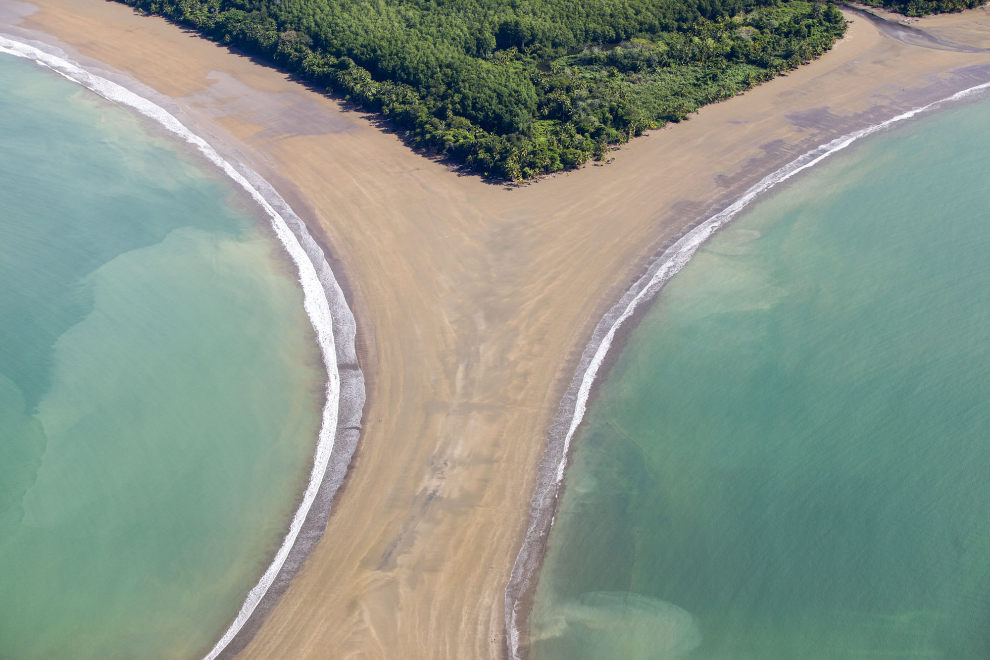 COS_Uvita_Whale_RA_free