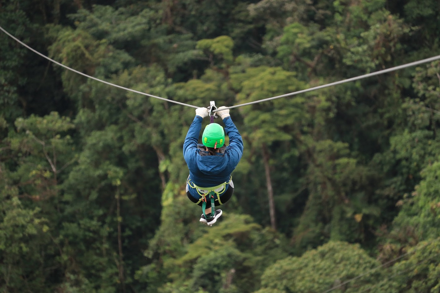 COS_ZipLining_BZRCOS_ZipLining_BZR