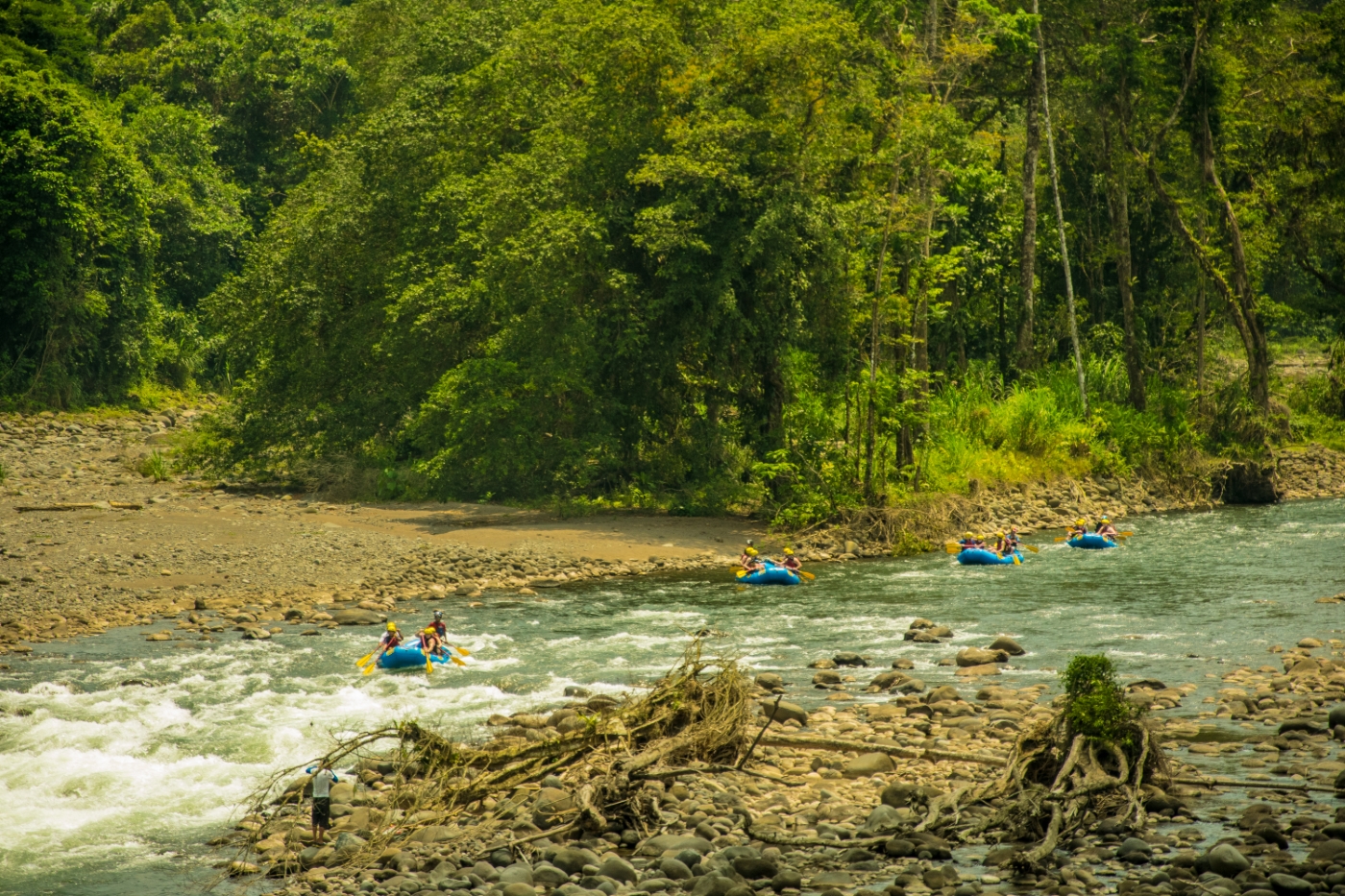 CostaRica_Arenalandthenorth_Sarapiqui_TomParrott-2