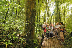 mvd-cos-monteverde-free-cre