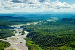 Amazon river flowing through the rainforest