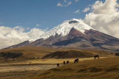 ECU_Cotopaxi_shutterstock240040738_freewithcredit(3)