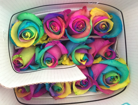 ECU_MulticolourRoses_HEC_free