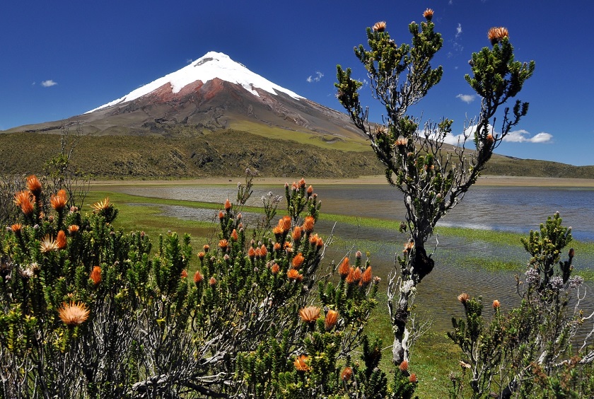 Ecuador_cotopaxi