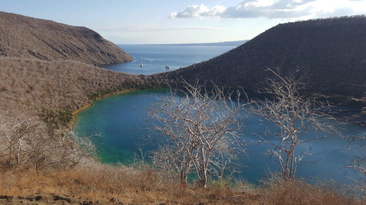 GAL_DarwinLake_AC_free