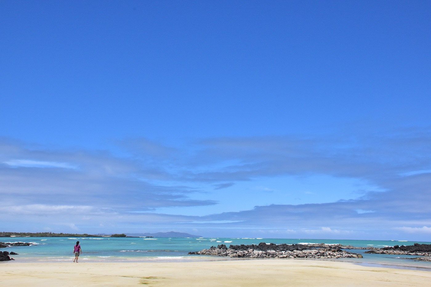 GAL_GarrapateroBeach_LMF_free