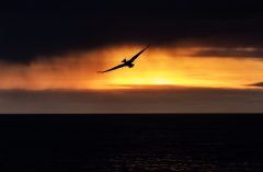 gps-2-aq4-galapagos-free-danielallen