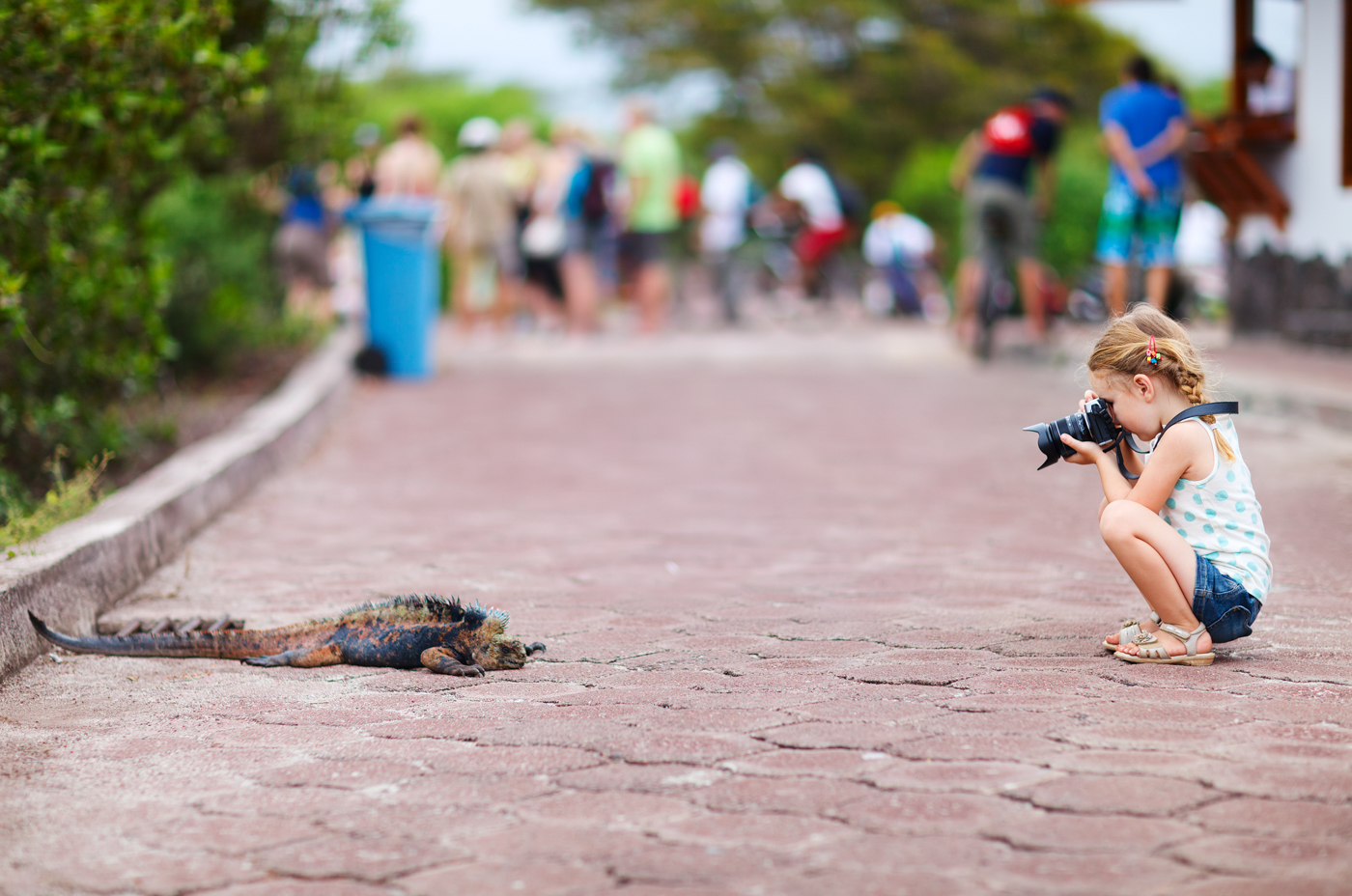 Girl photographing an Iguana in the Galapagos