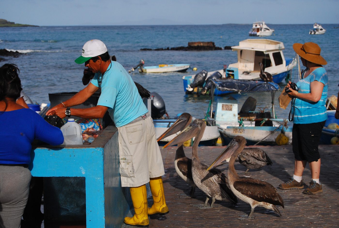 Santa Cruz Puerto Ayora 7