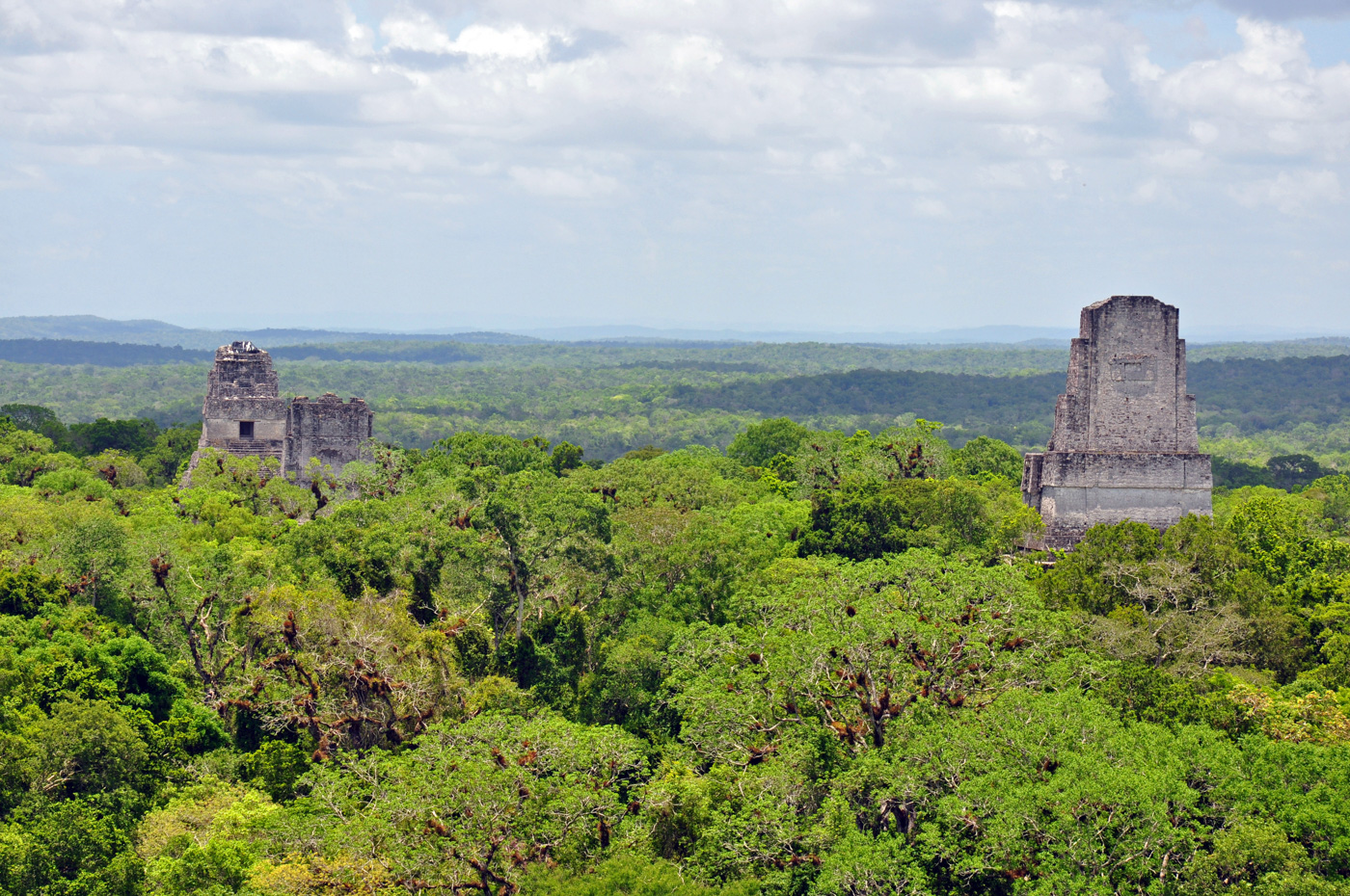 GUA_Tikal_shutterstock_81157708_freewithcredit
