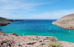 MEX_BajaCalifornia_IslaPartida_CJ_freewithcredit