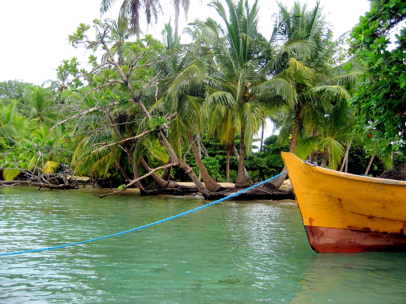 PAN_BocasDelToro_CP_free PAN_BocasDelToro_CP_free