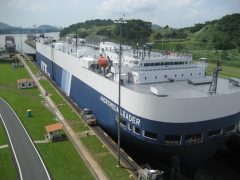 PAN_PanamaCanalWildlifeTour_ChrisParrottImage_Free