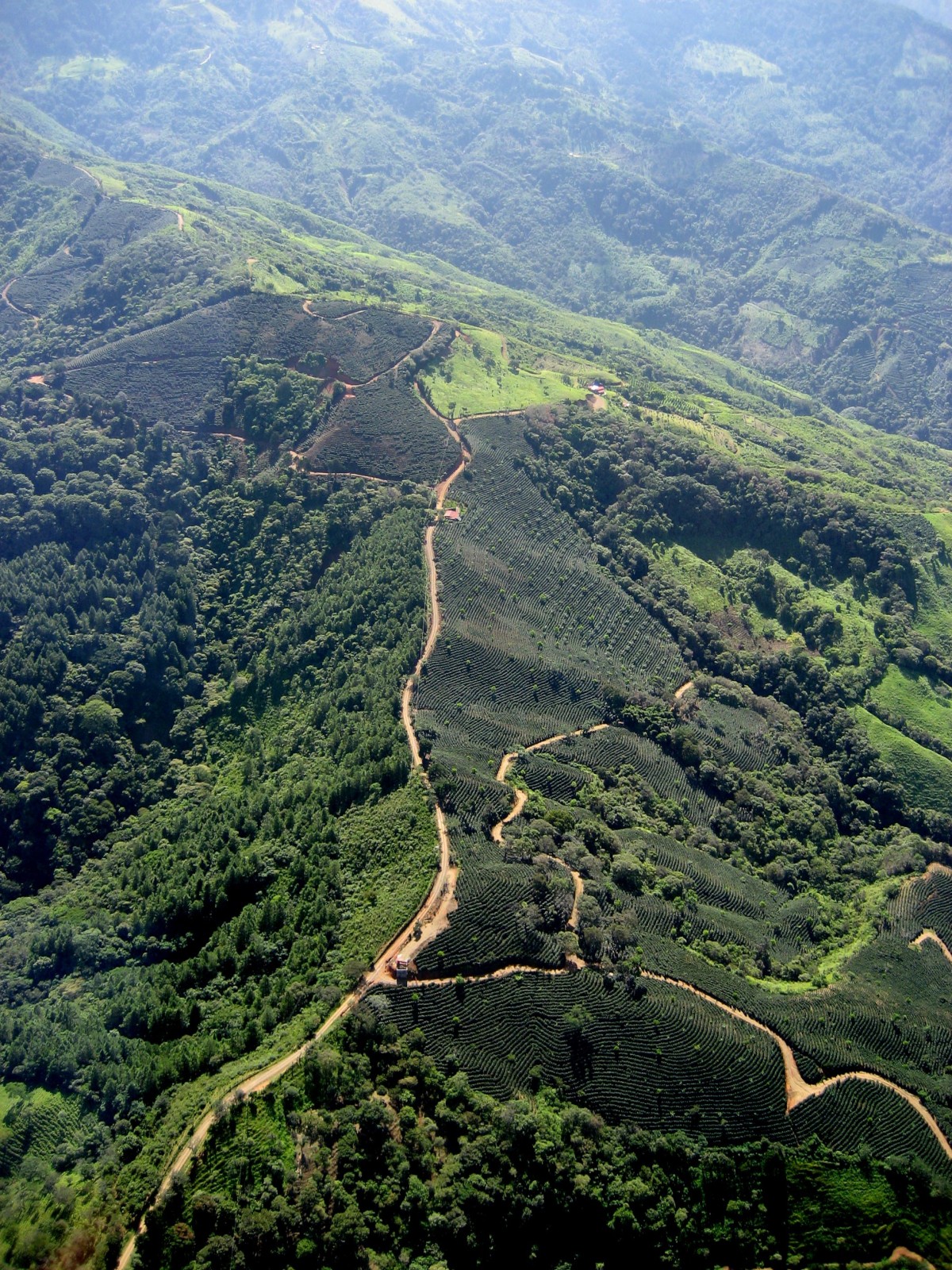 osa-cos-osapeninsula-free-cp