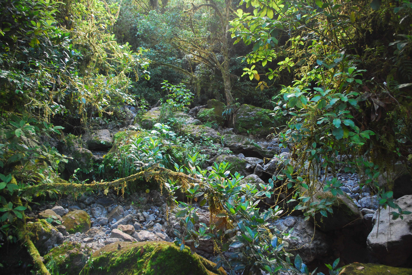 PER_Gocta_FSR_free (13)