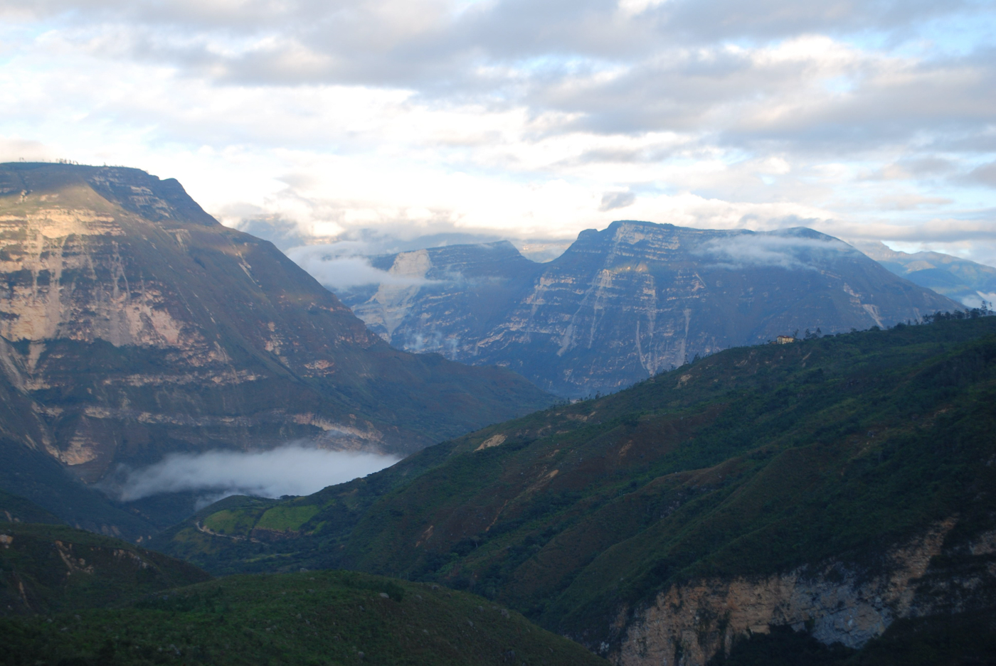 PER_Gocta_FSR_free (17)