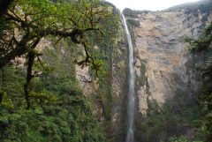 PER_Gocta_FSR_free (5)