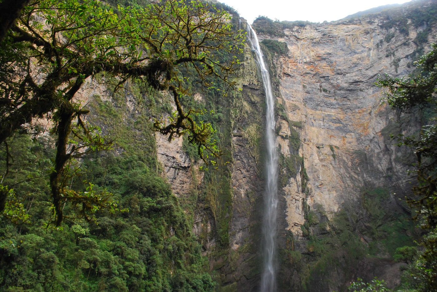 PER_Gocta_FSR_free (5)