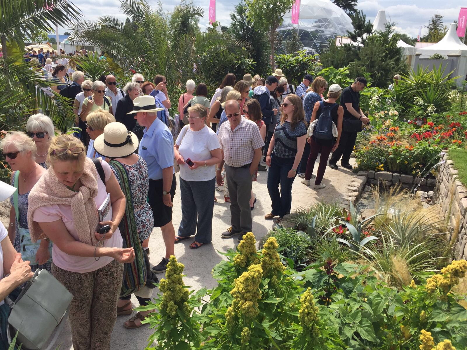 PER_IncaGardenRHS_TJS_free