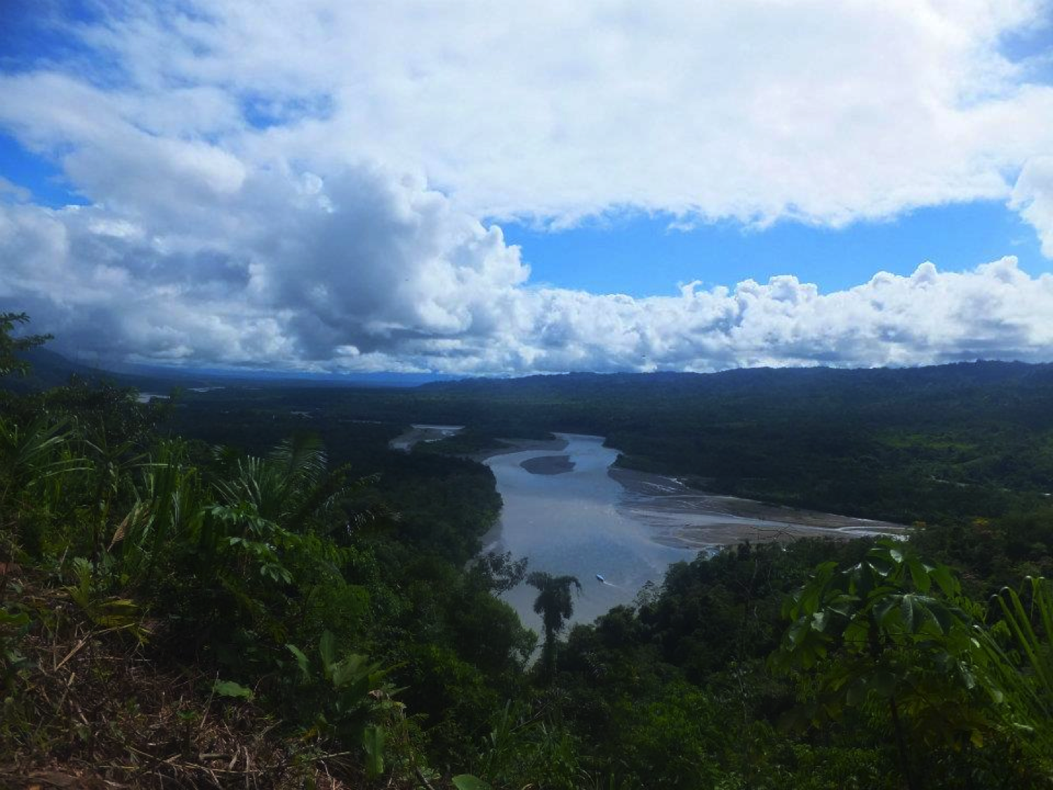 PER_MadreDeDios _Venetiafromcrees_free