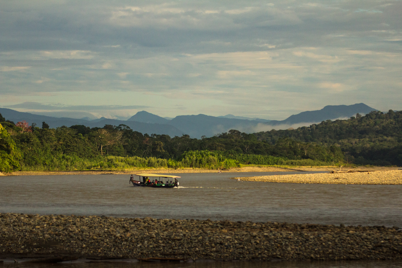 PER_Manu_Macaw_Crees_freewithcredit (2)