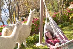 PER_PeruvianHomestay_Suasi_IM_Free