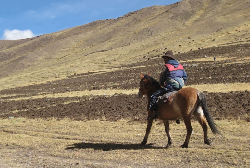 Peru_Cusco_Treks_AusangateTrek_Day2_IsabelleMazille-4