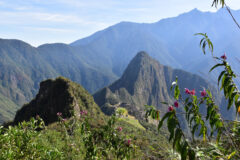 PERU_MachuPicchuMountain_LMF_Free_04
