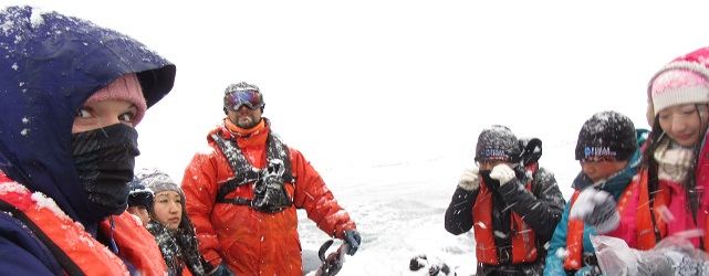 ANT_group_SB_free ANT_group_SB_free