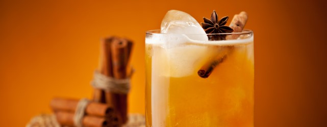 ECU_CanalazoCrop_Spiced Rum Drink_Free_shutterstock_175302857