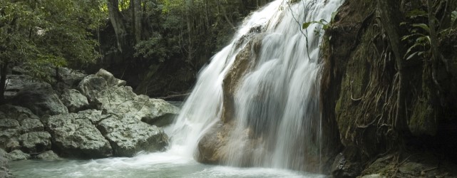 Fina el Paraiso Guatemala