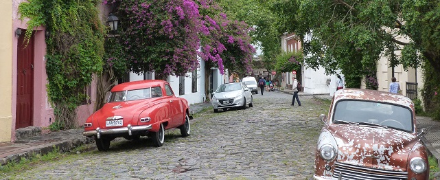 URGCaloniaDNFree crop