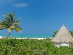 Caribbean beach view