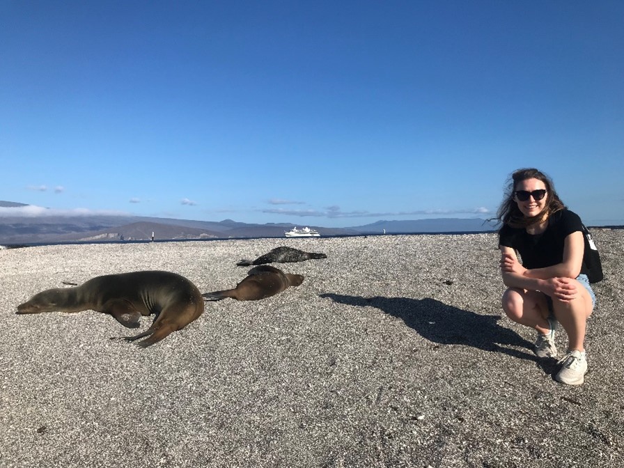 Evie Galapagos seals