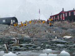 ANT06_Heritage Site_Hut_Free_NicoolaGude