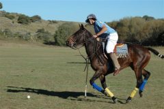 arg16-polo-free-lospotreros