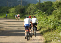 bel07-cyclingruins-free-crop